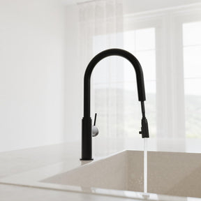 SCHÜTTE 79566 Blackpool Küchenarmatur Mit Ausziehbarer Geschirrbrause, 360 Grad Wasserhahn Für Die Küche, Mischbatterie Mit Einhebelmischer, Spültischarmatur Mit Brause Ausziehbar in Schwarz